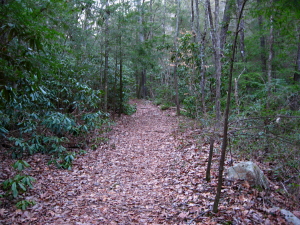 Clemmer Trail