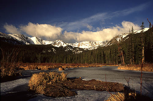 Cirque Meadows, Comanche Peak Wilderness