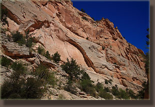 Upper Cottonwood Canyon