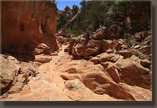 Upper Cottonwood Canyon