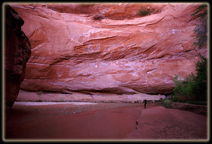 Coyote Gulch