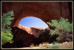 Jacob Hamblin Arch