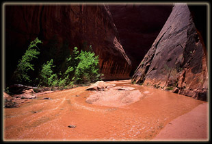 Coyote Gulch