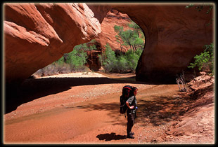 Coyote Bridge