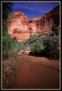 Coyote Gulch