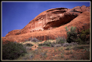 Coyote Gulch