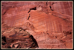 Coyote Gulch