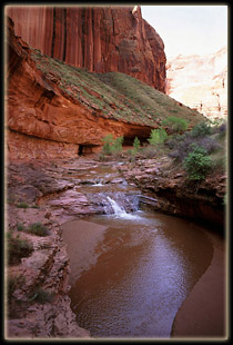 Coyote Gulch