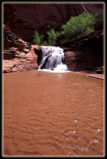 Coyote Gulch