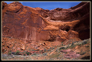 Coyote Gulch