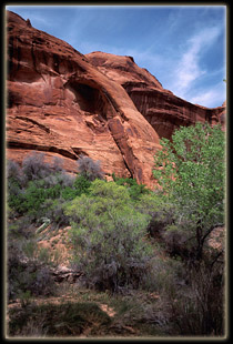 Cliff Arch in Coyote Gulch