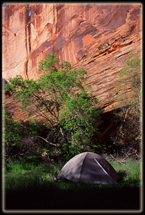 Coyote Gulch