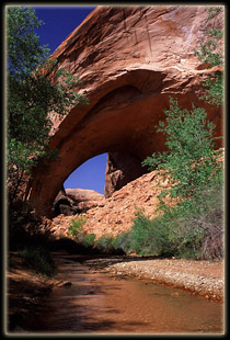 Jacbo Hamblin Arch