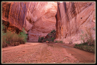 Coyote Gulch