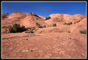 Coyote Gulch