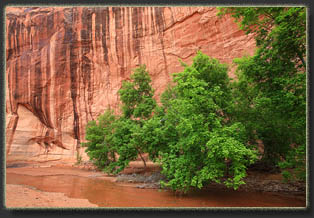 Coyote Gulch, Glen Canyon National Rec Area, Utah