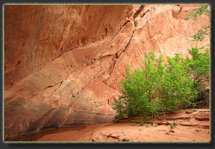 Coyote Gulch, Glen Canyon National Rec Area, Utah