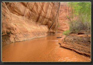 Coyote Gulch, Glen Canyon National Rec Area, Utah