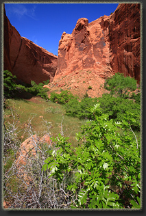 Coyote Gulch, Glen Canyon National Rec Area, Utah