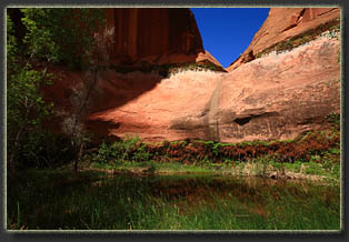 Coyote Gulch, Glen Canyon National Rec Area, Utah