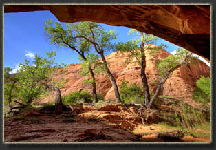 Coyote Gulch, Glen Canyon National Rec Area, Utah