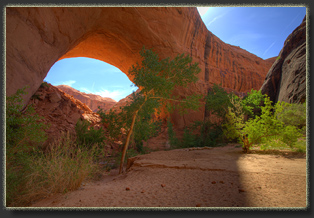 Coyote Gulch, Glen Canyon National Rec Area, Utah