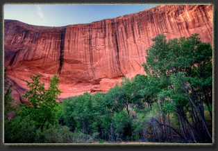 Coyote Gulch, Glen Canyon National Rec Area, Utah