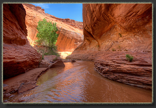 Coyote Gulch, Glen Canyon National Rec Area, Utah