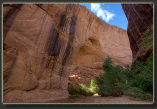 Coyote Gulch, Glen Canyon National Rec Area, Utah