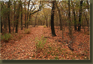 Fort Worth Nature Center and Refuge