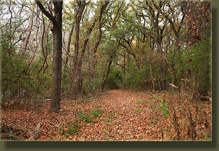 Fort Worth Nature Center and Refuge