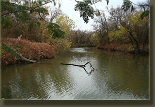 Fort Worth Nature Center and Refuge