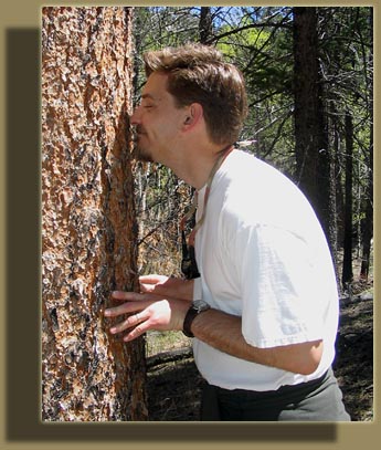 Smelling the Ponderosa bark