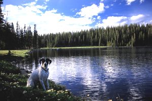 Frank at Deep Lake