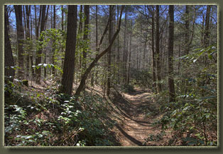 Ellicott Rock Wilderness, South Carolina
