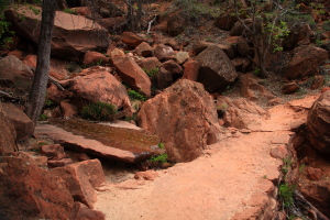 Emerald Pools Hike, Zion National Park