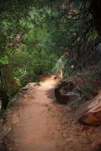 Emerald Pools Hike, Zion National Park