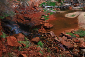 Emerald Pools Hike, Zion National Park