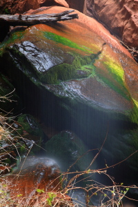 Emerald Pools Hike, Zion National Park