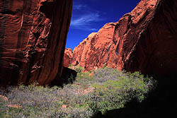 Choprock Canyon