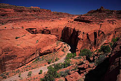 Choprock Canyon