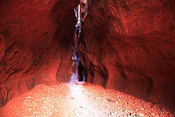 Ringtail Canyon