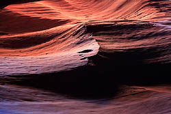 Ringtail Canyon