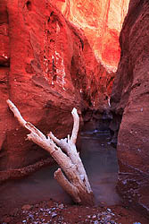 Choprock Canyon