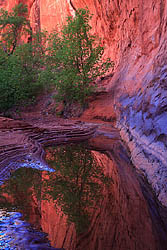 Choprock Canyon