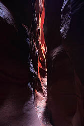 Ringtail Canyon