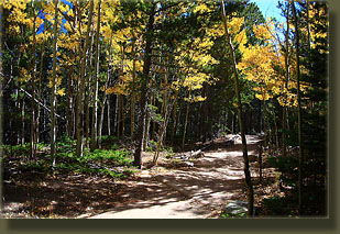 Trail to Estes Cone