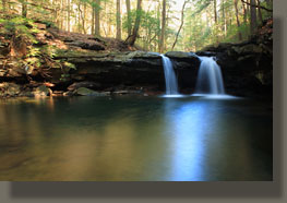 Fiery Gizzard Trail, Grundy Forest State Natural Area, TN