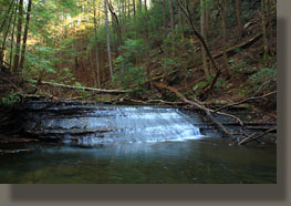 Fiery Gizzard Trail, Grundy Forest State Natural Area, TN