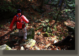 Fiery Gizzard Trail, Grundy Forest State Natural Area, TN